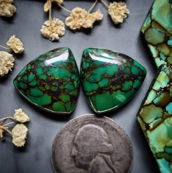Gold Halo Qingu Turquoise Trillion Set Cabochon