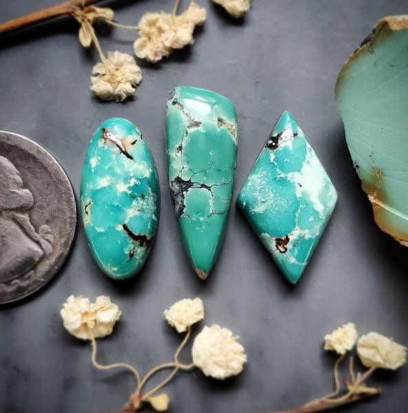 Gold Halo Qingu Turquoise Set Cabochon