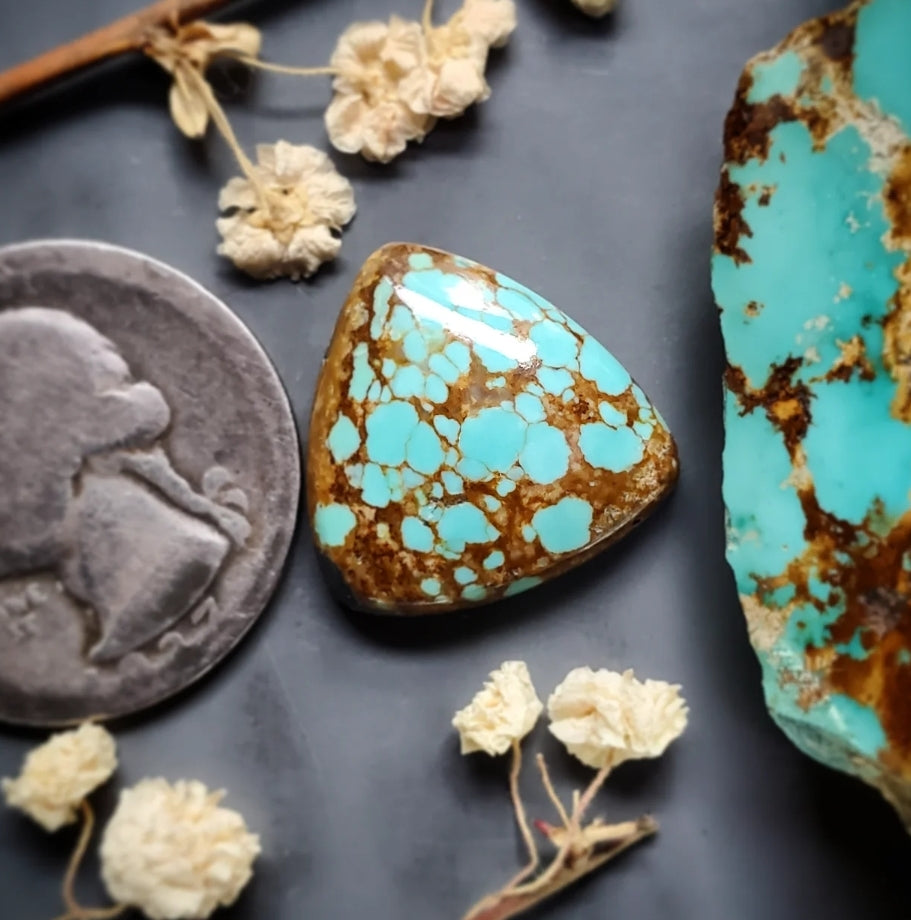 Under $40 Cabs – Turquoise Obsession