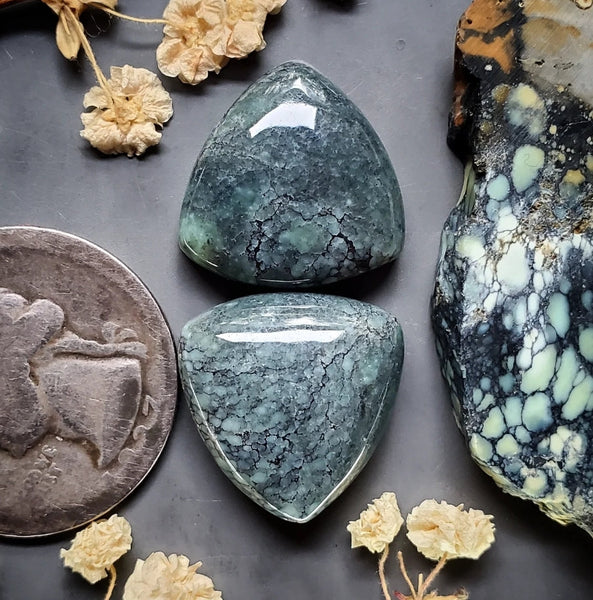 Desert Bloom Trillion Pair Cabochon
