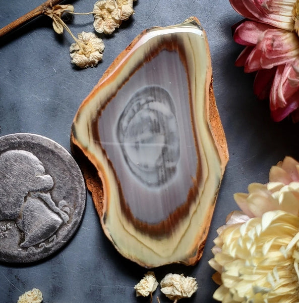 Imperial Jasper Slice Cabochon