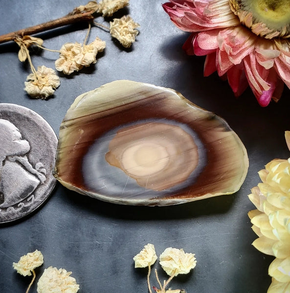 Imperial Jasper Slice Cabochon
