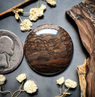 Deschutes Jasper Round Cabochon