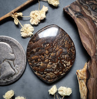 Deschutes Jasper Marquise Cabochon