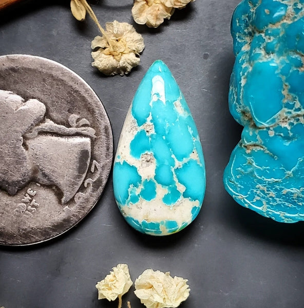 Sonoran Mountain Turquoise Drop Cabochon