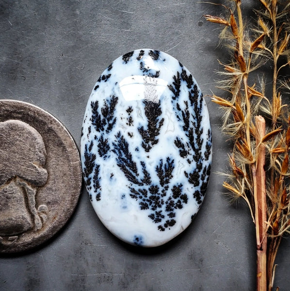 Medicine Bow Agate Oval Cabochon