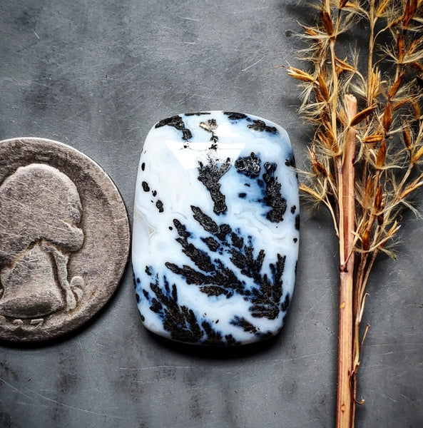 Medicine Bow Agate Cushion Cut Cabochon