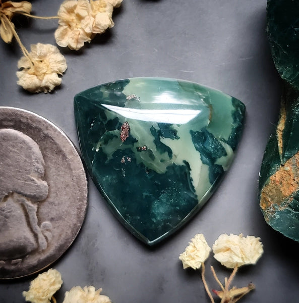 Hava Ridge Jasper Trillion Cabochon