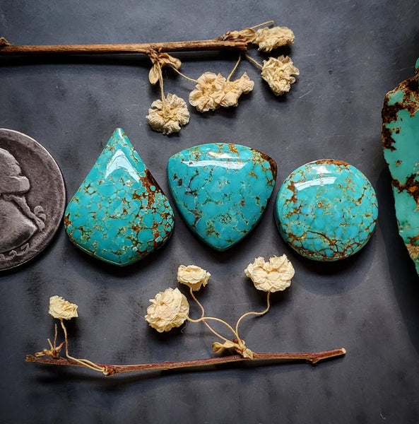 #8 Turquoise Drop Trillion Round Set Cabochon