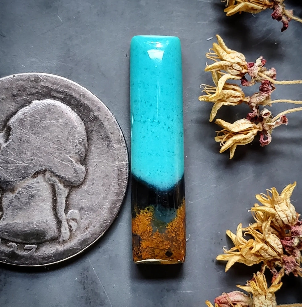 Gem Silica – Turquoise Obsession