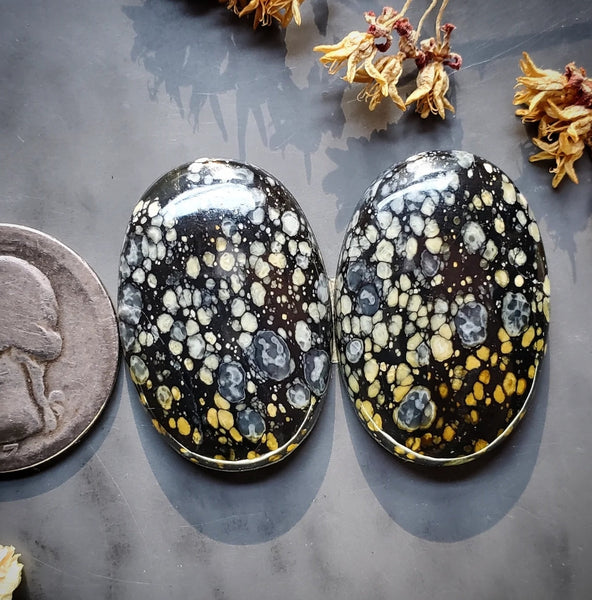 Dark Moon Oval Earring Pair Cabochon