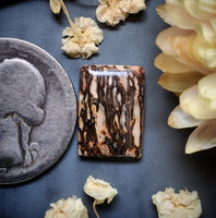 Dinosaur Bone Cushion Cabochon