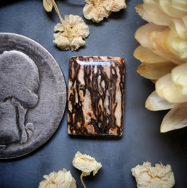 Dinosaur Bone Cushion Cabochon