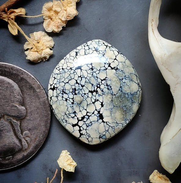Ivory Creek Variscite Marquise Cabochon