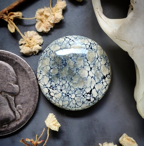 Ivory Creek Variscite Round Cabochon