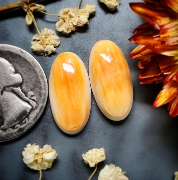 Spiny Oyster Ovals Cabochon