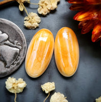 Spiny Oyster Ovals Cabochon