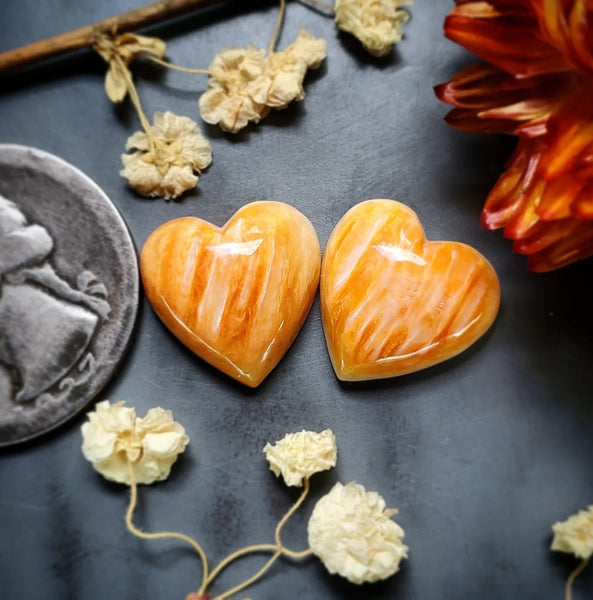 Spiny Oyster Hearts Cabochon