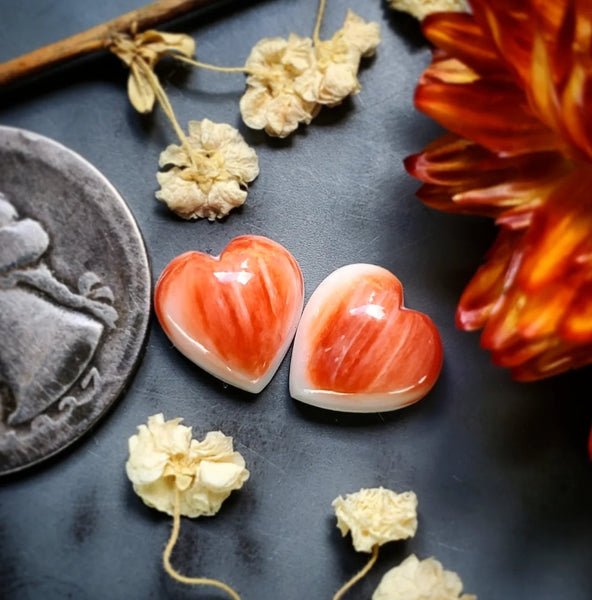 Spiny Oyster Tiny Hearts Cabochon