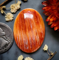 Spiny Oyster Oval Cabochon