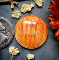 Spiny Oyster Large Round Cabochon