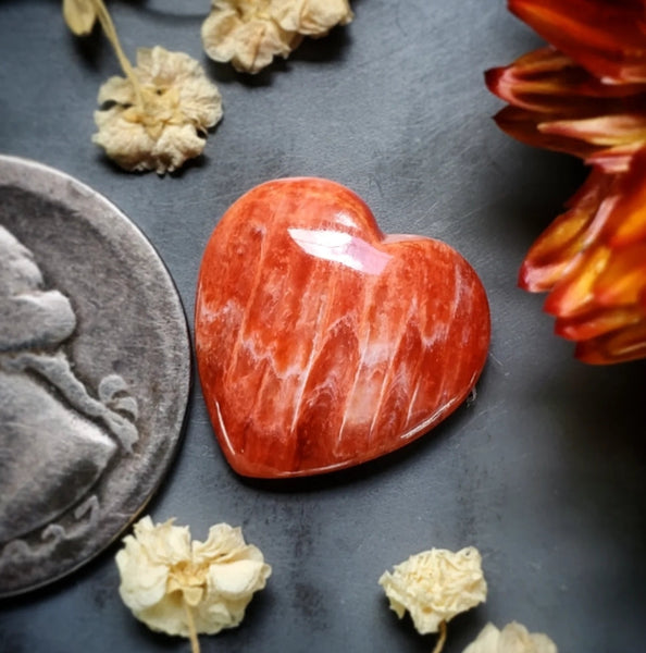 Spiny Oyster Heart Cabochon