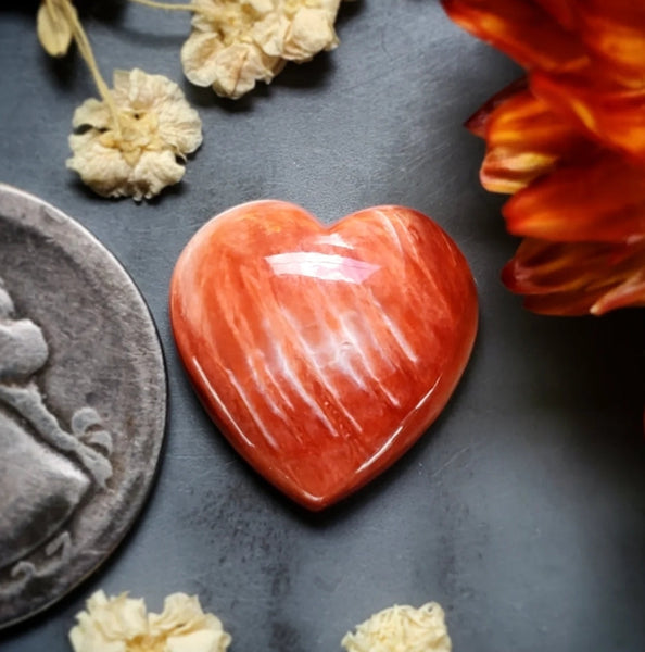 Spiny Oyster Heart Cabochon