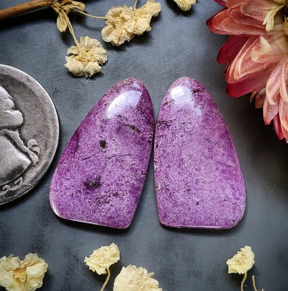 Sugilite Freeform Earring Pair Cabochon