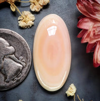Bahamian Pink Conch Shell Oval Cabochon