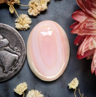 Bahamian Pink Conch Shell Oval Cabochon