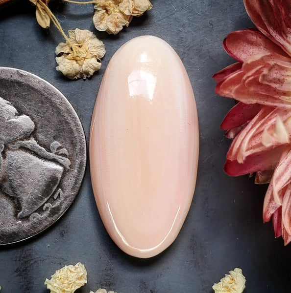 Bahamian Pink Conch Shell Oval Cabochon