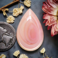 Bahamian Pink Conch Shell Large Drop Cabochon