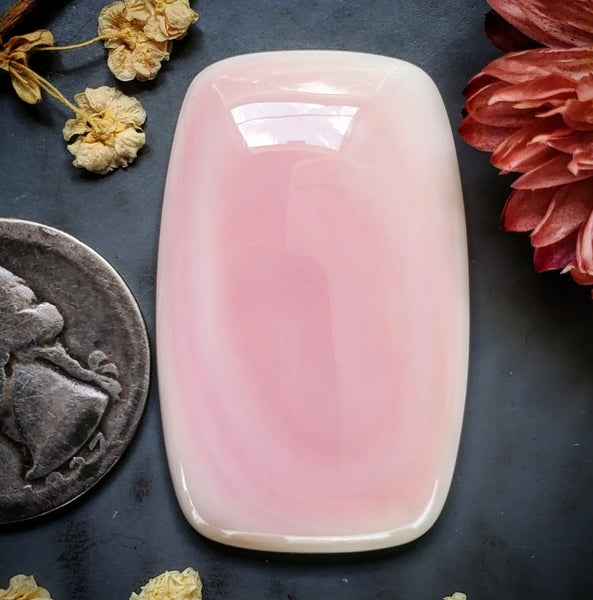 Bahamian Pink Conch Shell Large Cushion Cut Cabochon