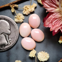 Bahamian Pink Conch Shell Ovals Cabochon