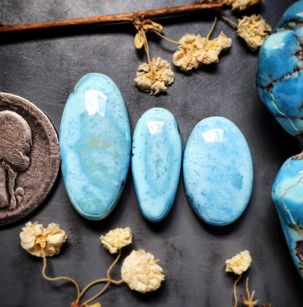 Golden Hills Lavender Turquoise Oval Set Cabochon