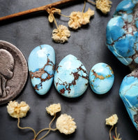 Golden Hills Lavender Turquoise Drop Oval Set Cabochon