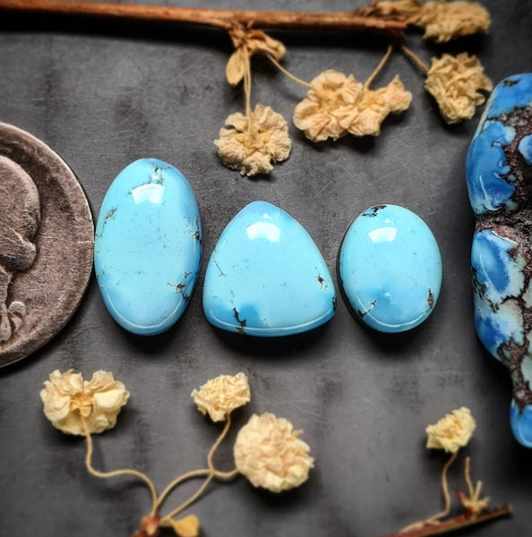 Golden Hills Lavender Turquoise Oval Trillion Set Cabochon