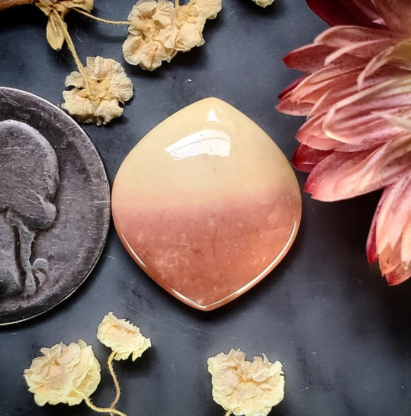 Windy Moutain Jasper Marquise Cabochon