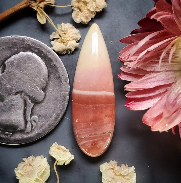 Windy Moutain Jasper Drop Cabochon