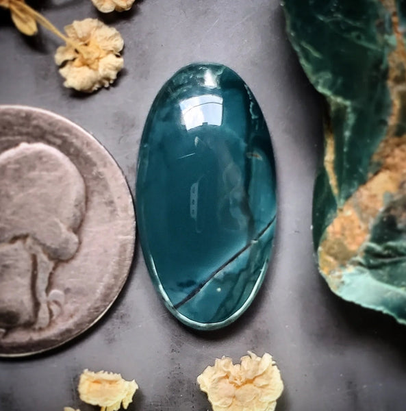 Skaggs Jasper Oval Cabochon