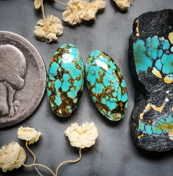 Polychrome Qingu Turquoise Oval Earring Pair Cabochon