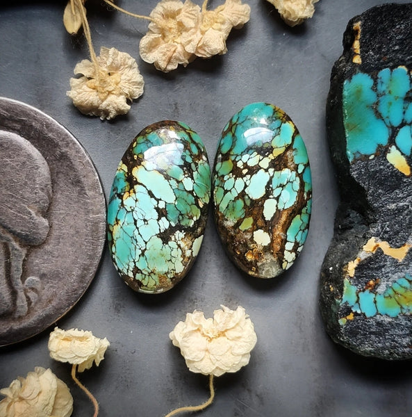 Polychrome Qingu Turquoise Oval Earring Pair Cabochon