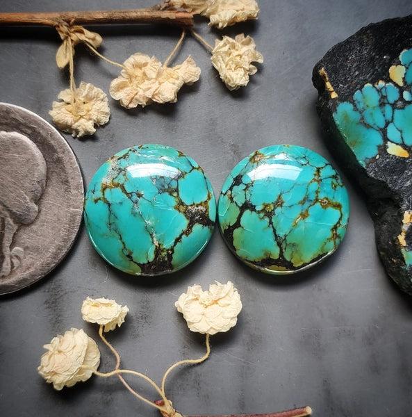 Polychrome Qingu Turquoise Round Earring Pair Cabochon