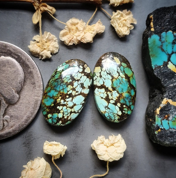 Polychrome Qingu Turquoise Oval Earring Pair Cabochon