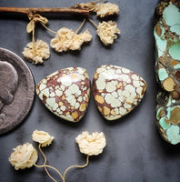 Natural Treasure Mountain Turquoise Trillion Earring Pair Cabochon