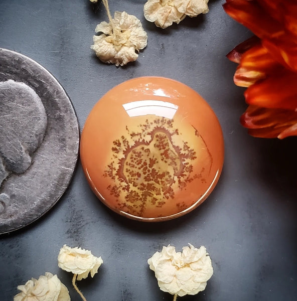 Maligano Jasper Round Cabochon