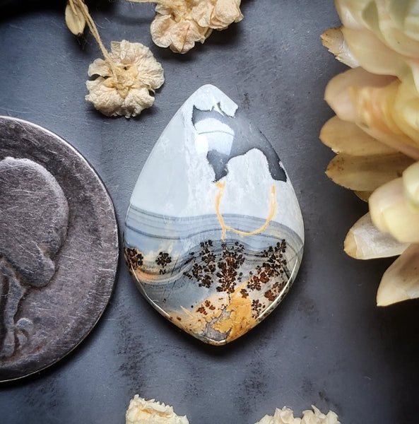 Maligano Jasper Drop Cabochon