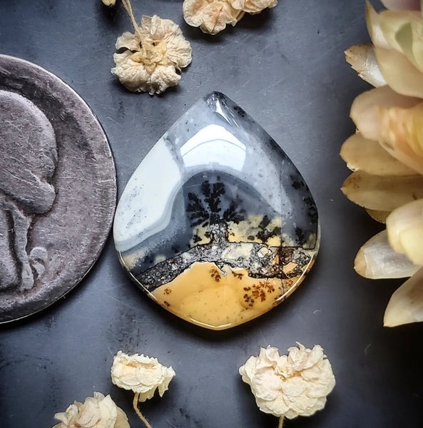 Maligano Jasper Cushion Cut Cabochon