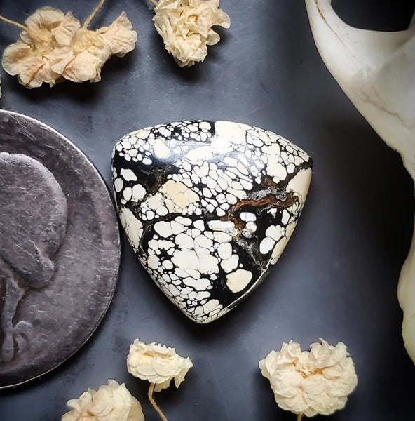 Ivory Creek Variscite Trillion Cabochon