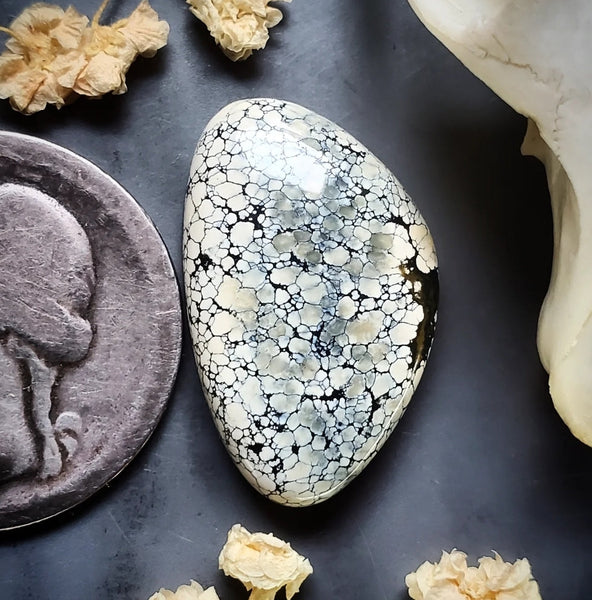Ivory Creek Variscite Freeform Cabochon